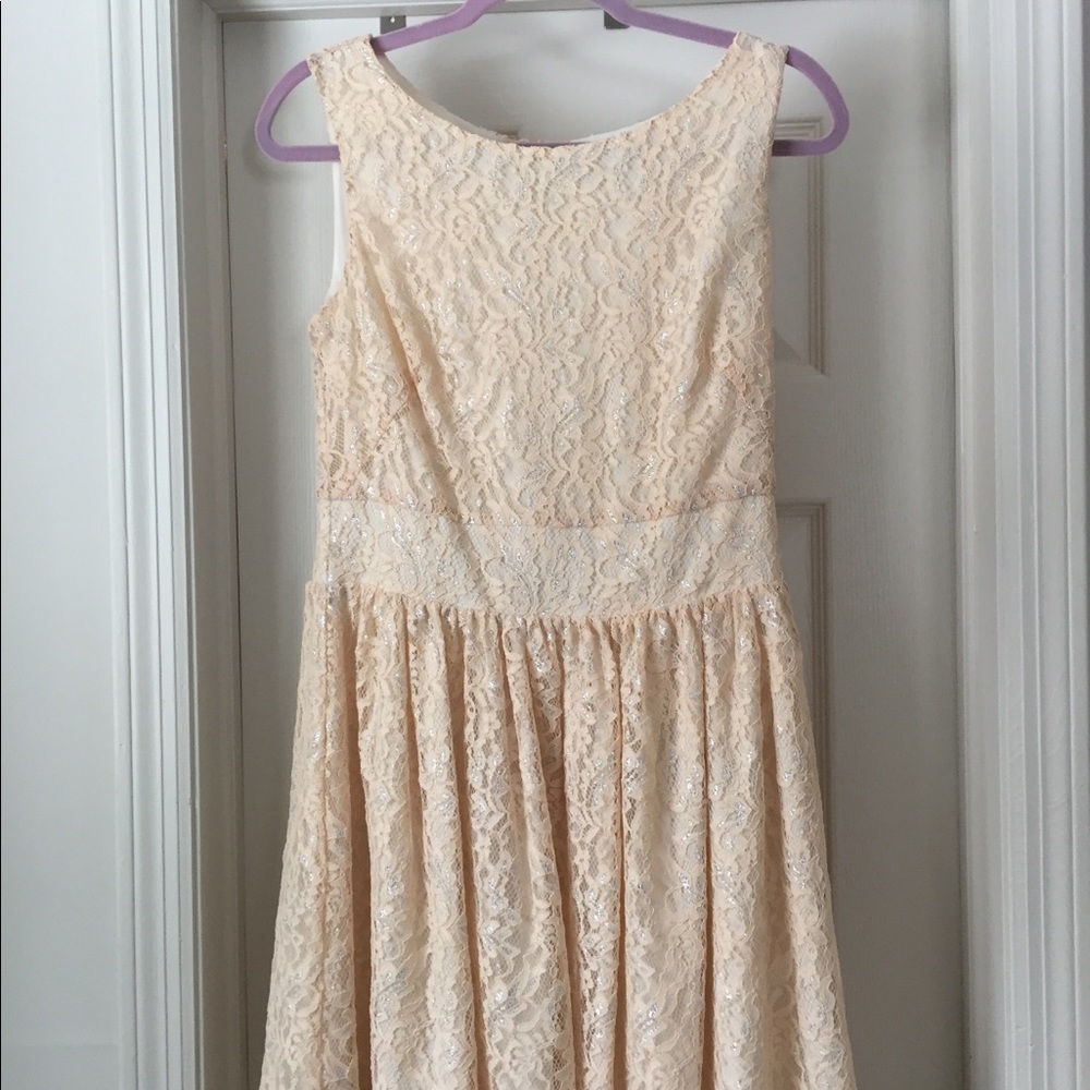 Loft Lace Blush Dress